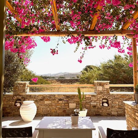 Aegeo Inn Antiparos Town Екстериор снимка