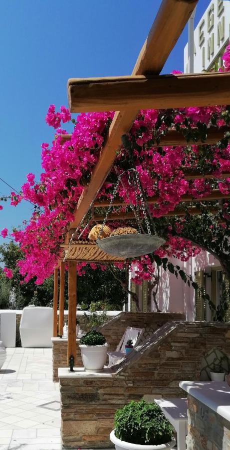 Aegeo Inn Antiparos Town Екстериор снимка
